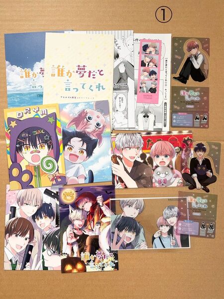 【特典のみ】誰か夢だと言ってくれ(みっしぇる)13点