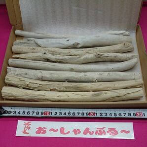 流木セットno216