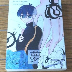 ブルーロック 同人誌 小説 潔世一 ミヒャエル・カイザー カイ潔