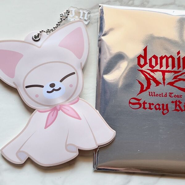 【公式】Stray Kids スキズ アイエン フォクシニー ミニ うちわ キーホルダー