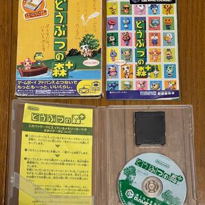 NINTENDO GAMECUBE どうぶつの森+ 動作確認済