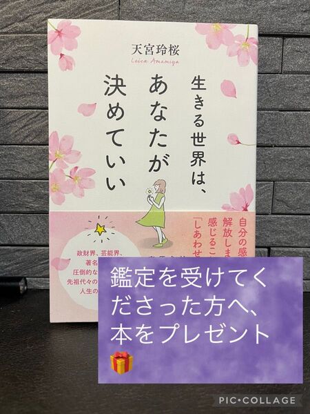 生きる世界は、あなたが決めていい 天宮玲桜