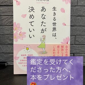 生きる世界は、あなたが決めていい 天宮玲桜