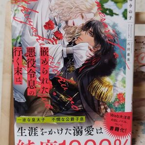 嵌められた悪役令息の行く末は、 (&arche NOVELS) 珈琲きの子/〔著〕
