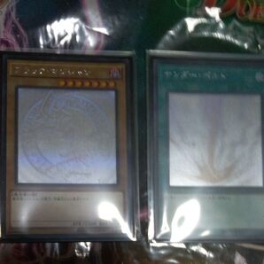 遊戯王 ブラマジホロ、サンボルホロ、ジャッジバスタースーパー、アンブラルウルトラ、シャイニングレア、カースネクロフィアウルトラ