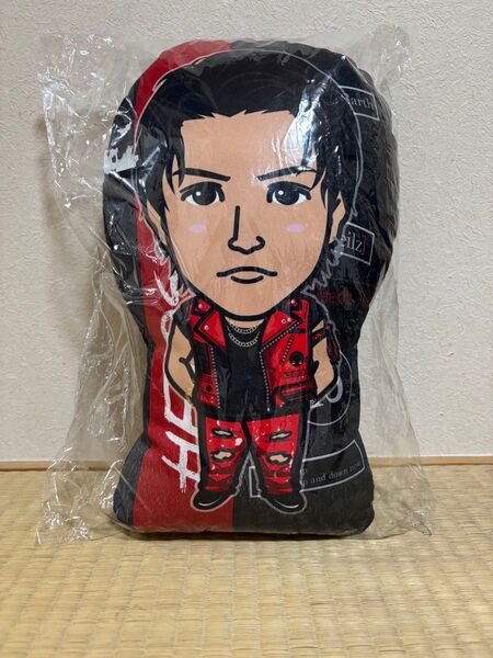 EXILE STAR OF WISH出張居酒屋えぐざいる、えぐハンマーの一等賞岩田剛典 Heads or Tails クッション