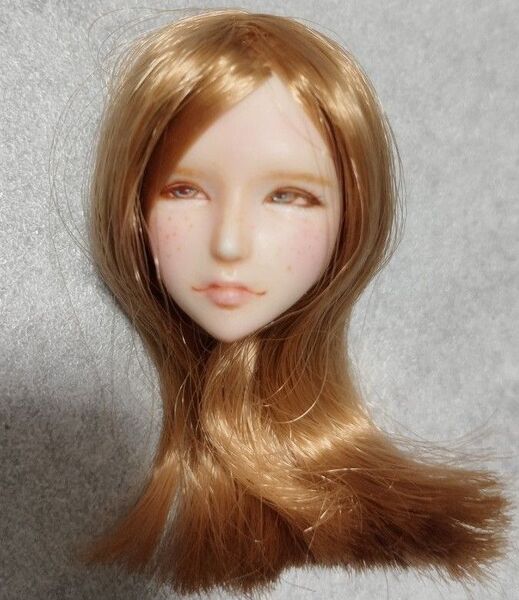 1/6 カスタムヘッド ヘッドのみ
