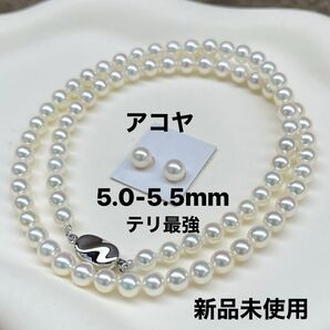 アコヤ真珠ネックレス5.0-5.5mmペア付きテリ最強シルバークラスプk14WG ピアスセット新品未使用ケース付き43cm