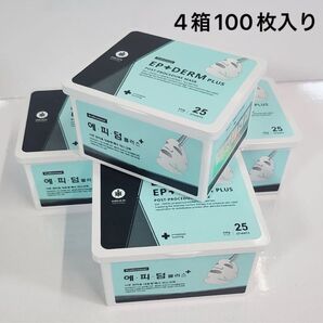 【最新版】新品未使用 エピダーム プラスマスク 25枚入り 4箱セット 韓国