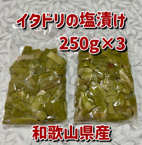 イタドリの塩漬け250g×3
