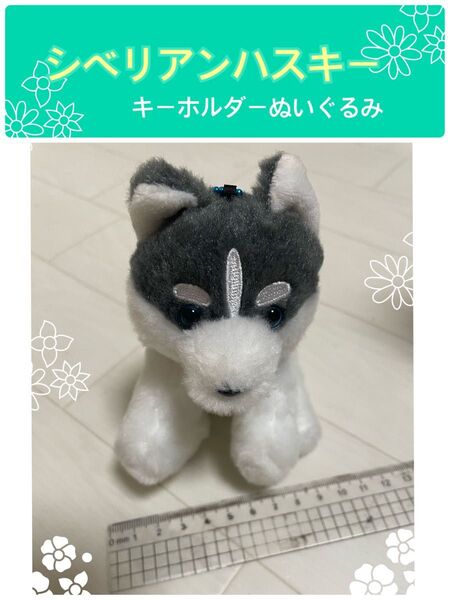 犬キーホルダーぬいぐるみシベリアンハスキー キーホルダー ぬいぐるみ犬