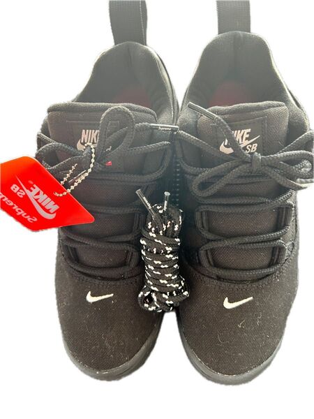 NIKE SB DARWIN LOW Supreme 25cm 価格相談して下さい!