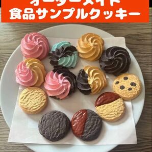【ハンドメイド】 食品サンプル クッキーアソート バライティパック