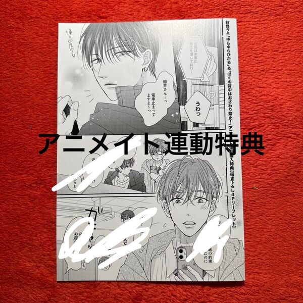 鉢野うら ぼくの背中はおさわり禁止! ゆらゆらひかる BL アニメイト連動特典リーフレット