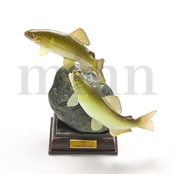 【未開封】NTC 日本の清流 増補特装版 アユ ネイチャーテクニカラー カプセルトイ ガチャ フィギュア