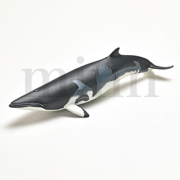 【未開封】Nature of Japan 日本のいきもの 1 ミンククジラ NTC ネイチャーテクニカラー カプセルトイ ガチャ