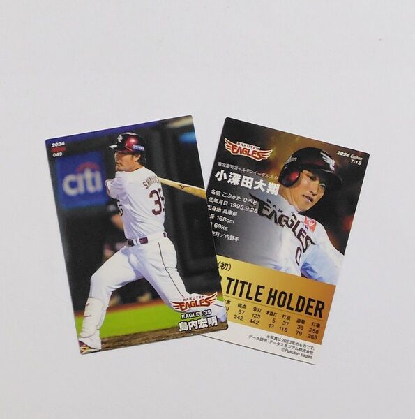 東北楽天ゴールデンイーグルス プロ野球チップス Calbee