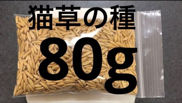 猫草 ネコ草 エン麦 80g 種 国産 毛玉ケア 緑肥 小動物