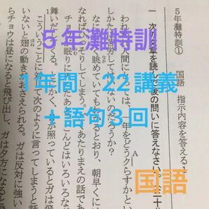 灘中受験 馬渕教室5N 灘特訓国語 記述 22講義(1年間)語句問題3回