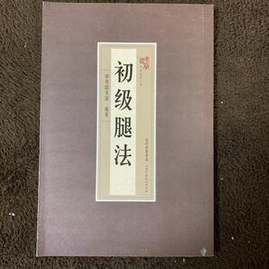 【中国武術】初級腿法　全ての武術の基本を作る