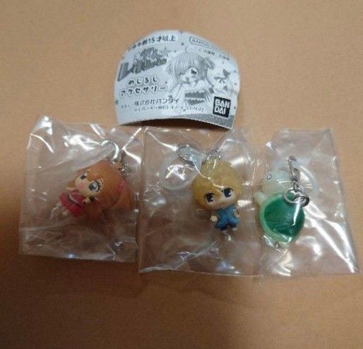 きらりんレボリューション めじるしアクセサリー きらり 星司 カメさん ガチャ