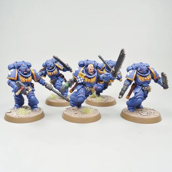 スペースマリーン:アサルト・インターセッサー 5体SPACE MARINES: ASSAULT INTERCESSORS