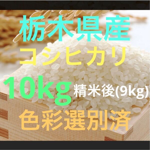 栃木県産令和6年新米コシヒカリ白米9kg