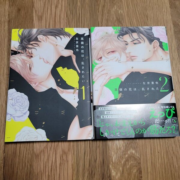 高嶺の花は、乱されたい 1巻 2巻 左京亜也 ディアプラス 2冊セット
