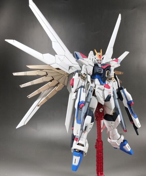 HG 1/144 マイティーストライクフリーダムガンダム 改修 全塗装 完成品 キラ・ヤマト ラクス・クライン