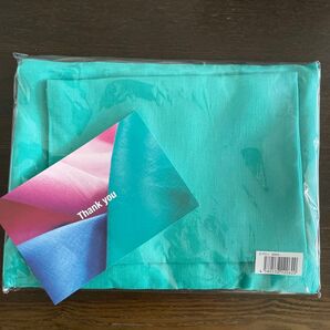 TAKIMAKI ORGANIC APRON MINT GREEN エプロン タキマキ エプロン ミントグリーン 滝沢眞規子