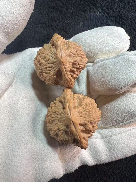 遊ぶ胡桃、文玩核桃、【老木山地産・満天星入り獅子頭クルミ】343138/28.9g/JST25046