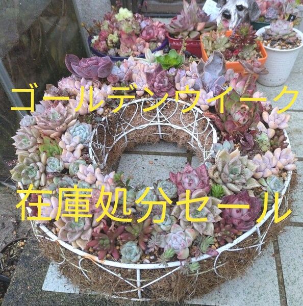 ゴールデンウイーク!在庫処分セール!☆☆☆