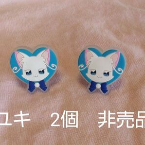 アクセサリー