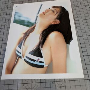 新垣結衣 17歳 写真集 B 12枚 150μフィルムでラミネート加工した商品です 保存用