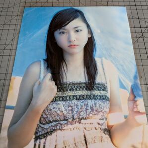 新垣結衣 17歳 写真集 F 14枚 150μフィルムでラミネート加工した商品です 保存用