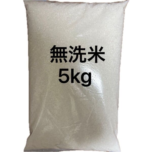精米 無洗米5kg お米 白米