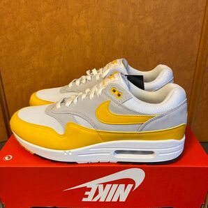 新品未使用NIKE AIR MAX 1 ESSメンズ28㎝