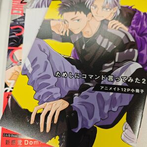 ためしにコマンド言ってみた2 アニメイト限定セット