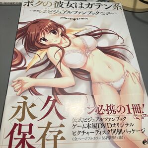 ボクの彼女はガテン系 ビジュアルファンブック