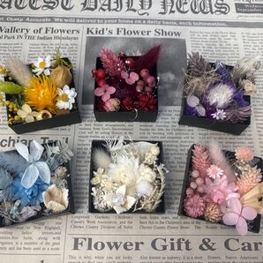 ドライフラワー 花材 プチボックス6個セット