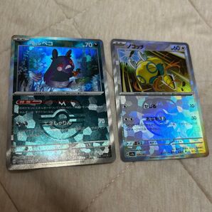 テラスタルフェス ノコッチ モルペコ マスターボールミラー