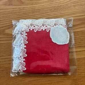 近沢レース いちご