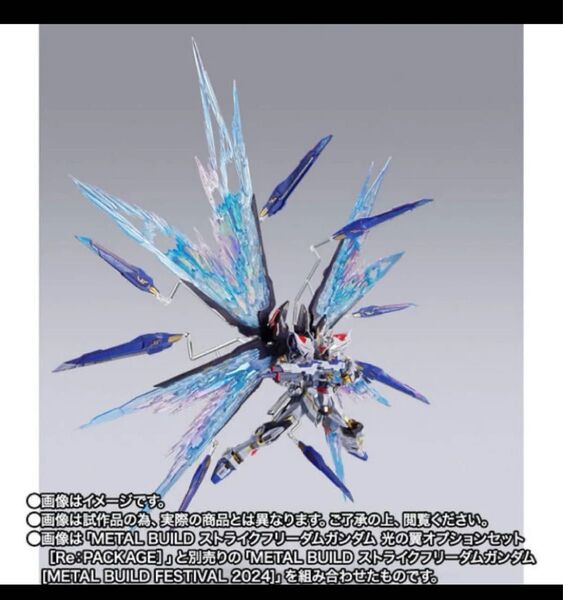 METAL BUILD ストライクフリーダムガンダム 光の翼オプションセット Re:PACKAGE 機動戦士ガ ンダ ムSEED