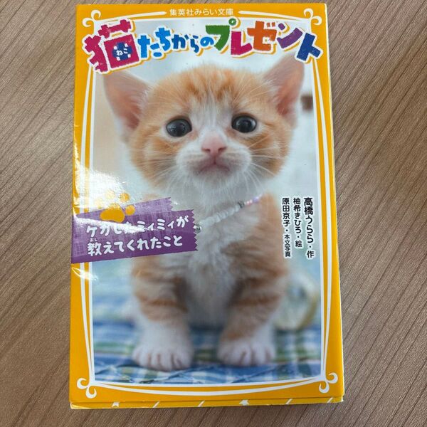 猫たちからのプレゼント