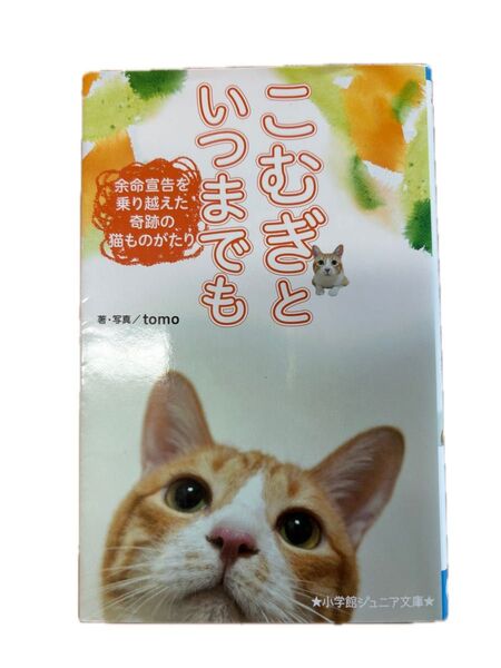 いつまでもこむぎと 余命宣告を乗り越えた奇跡の猫ものがたり