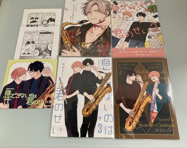 息できないのは君のせい アニメイト特典セット