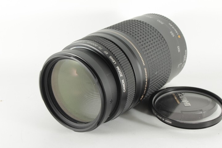 Yahoo!オークション -「ef 75-300mm f4-5.6 Ⅱ」の落札相場 Yahoo!オークション -「ef 75-300mm f4-5.6 Ⅱ」の落札相場