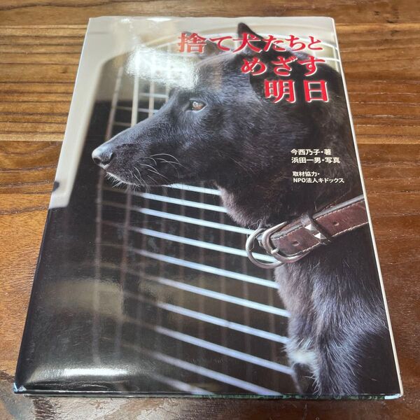 捨て犬たちと明日 今西乃子 浜田一男 写真集