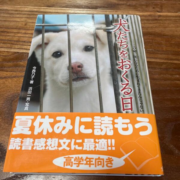 犬たちをおくる日 今西乃子 読書感想文