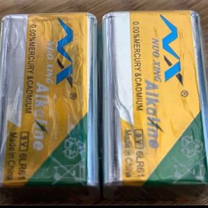 NUO XING Alkaline 9V電池 2個セット